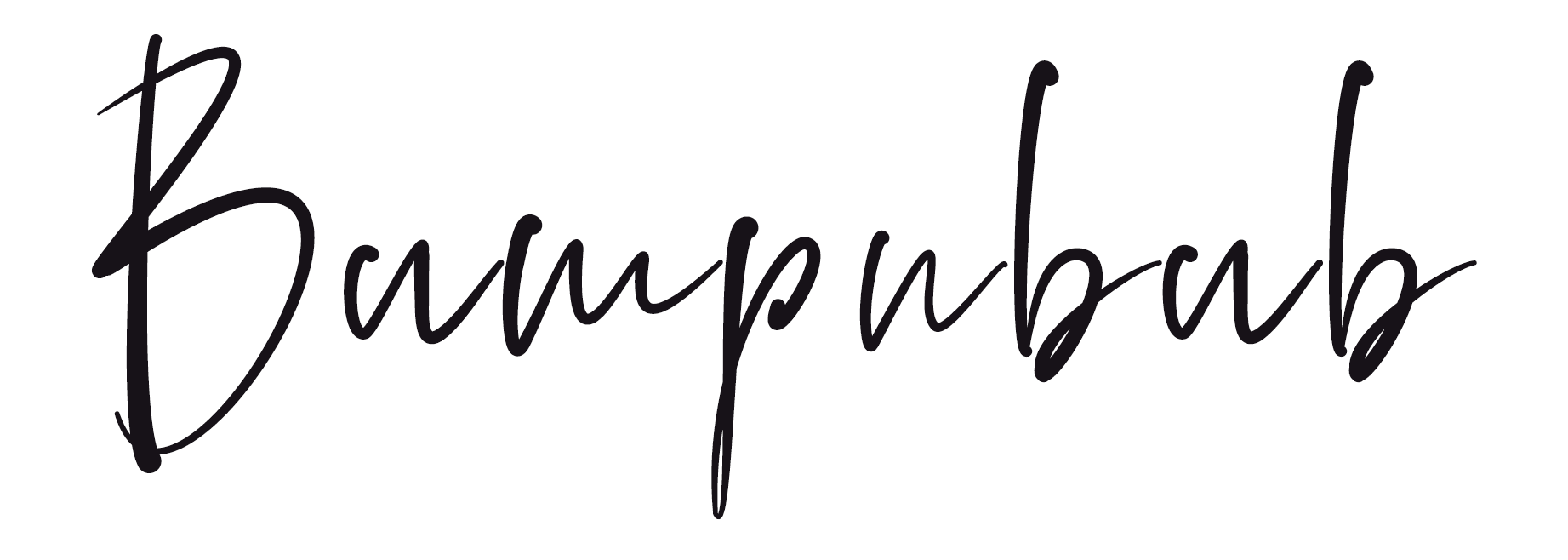 The Bumpnbub Store logo